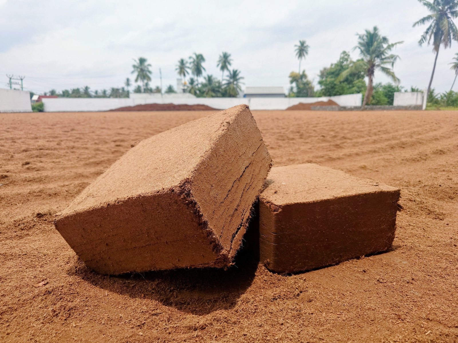 Coco Peat Export India