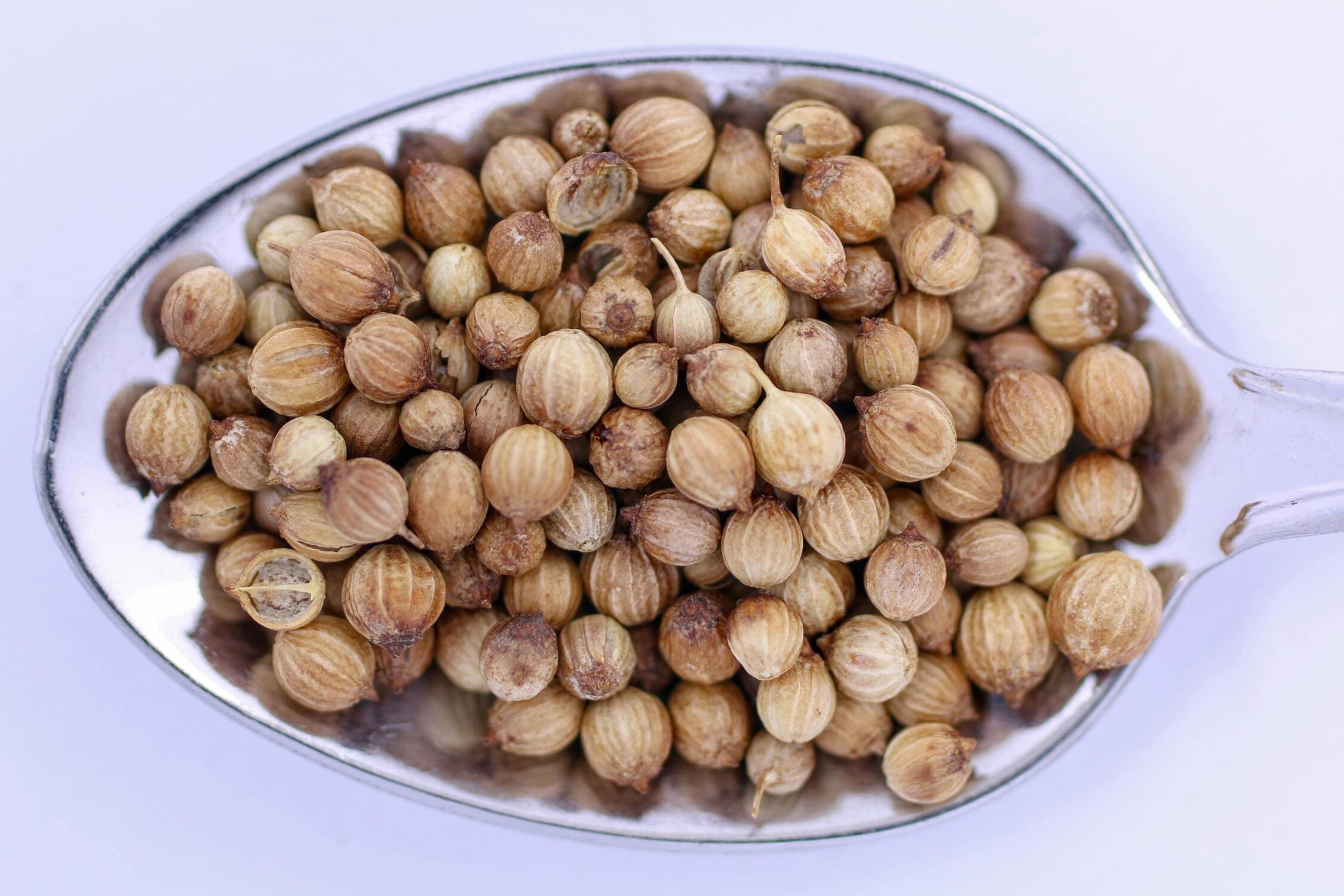 Coriander Seeds Export India