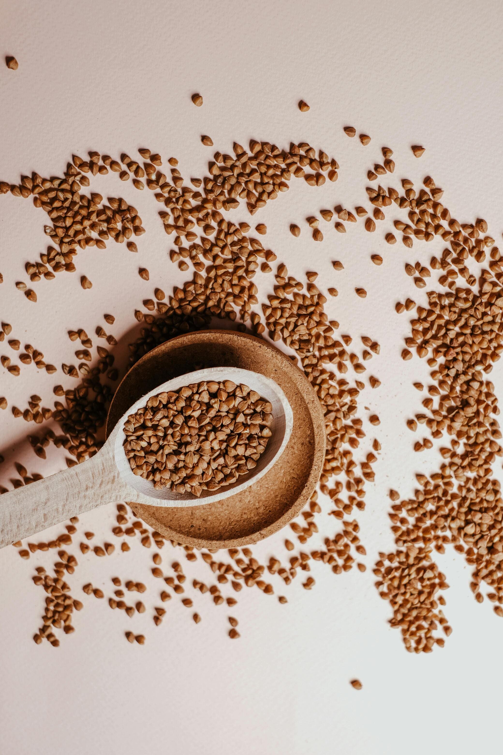 Fenugreek Seeds Export India