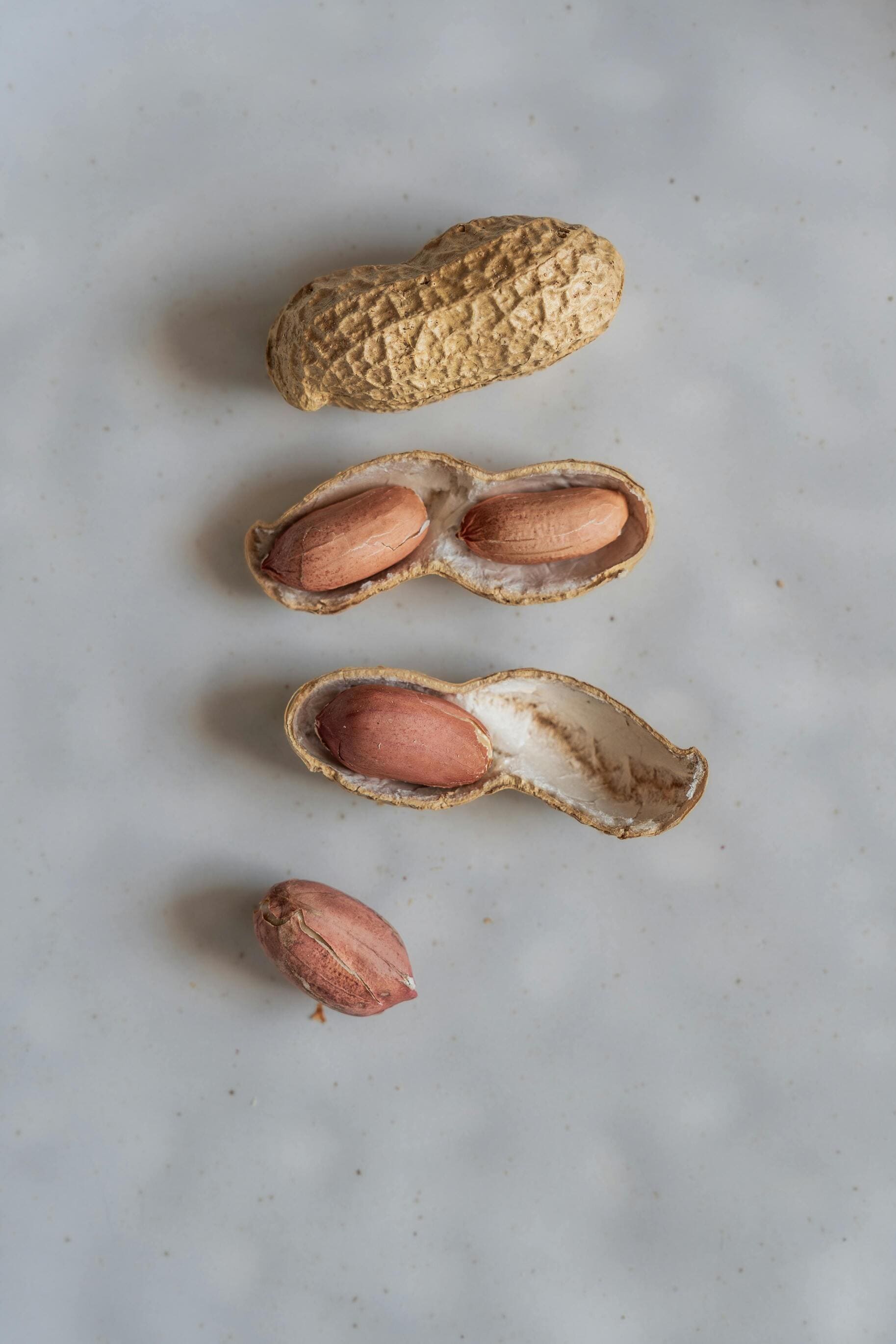 Groundnuts Peanuts Export India