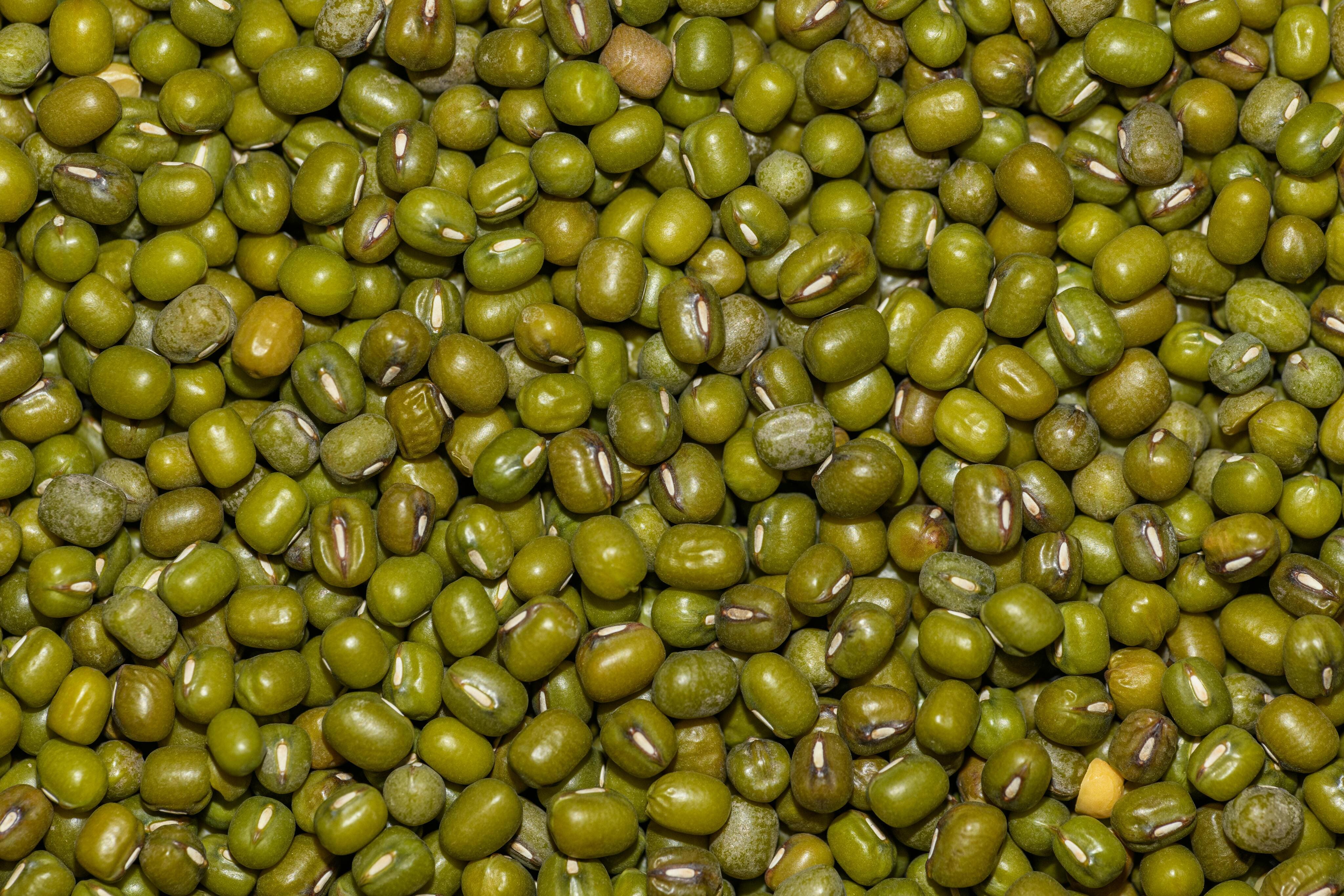 Moong Dal Export India
