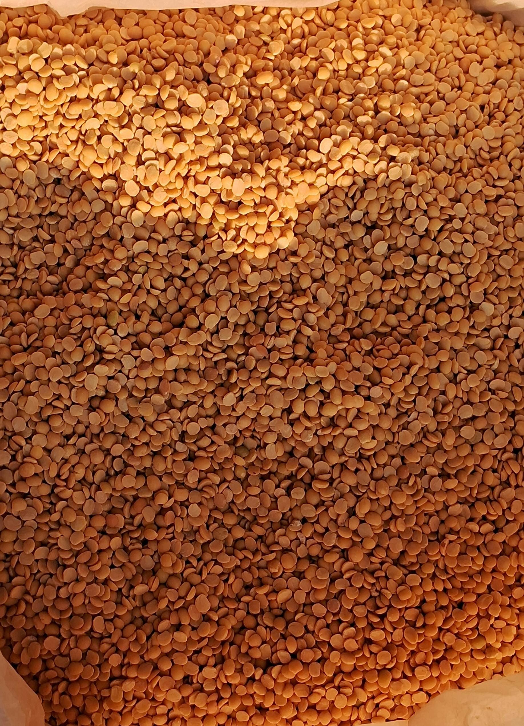 Toor Dal Export India