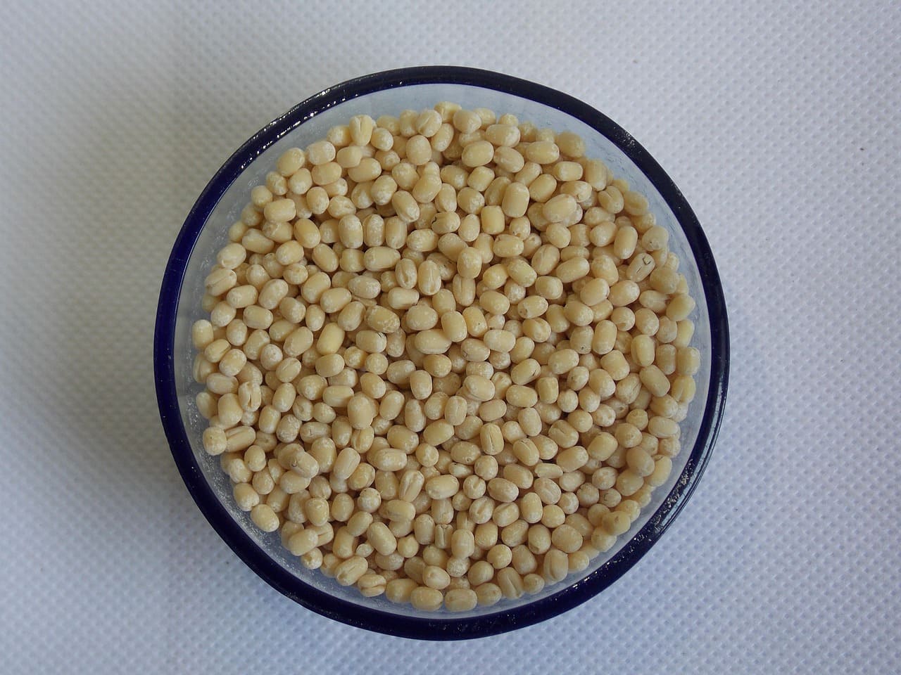 Urad Dal Black Gram Export India