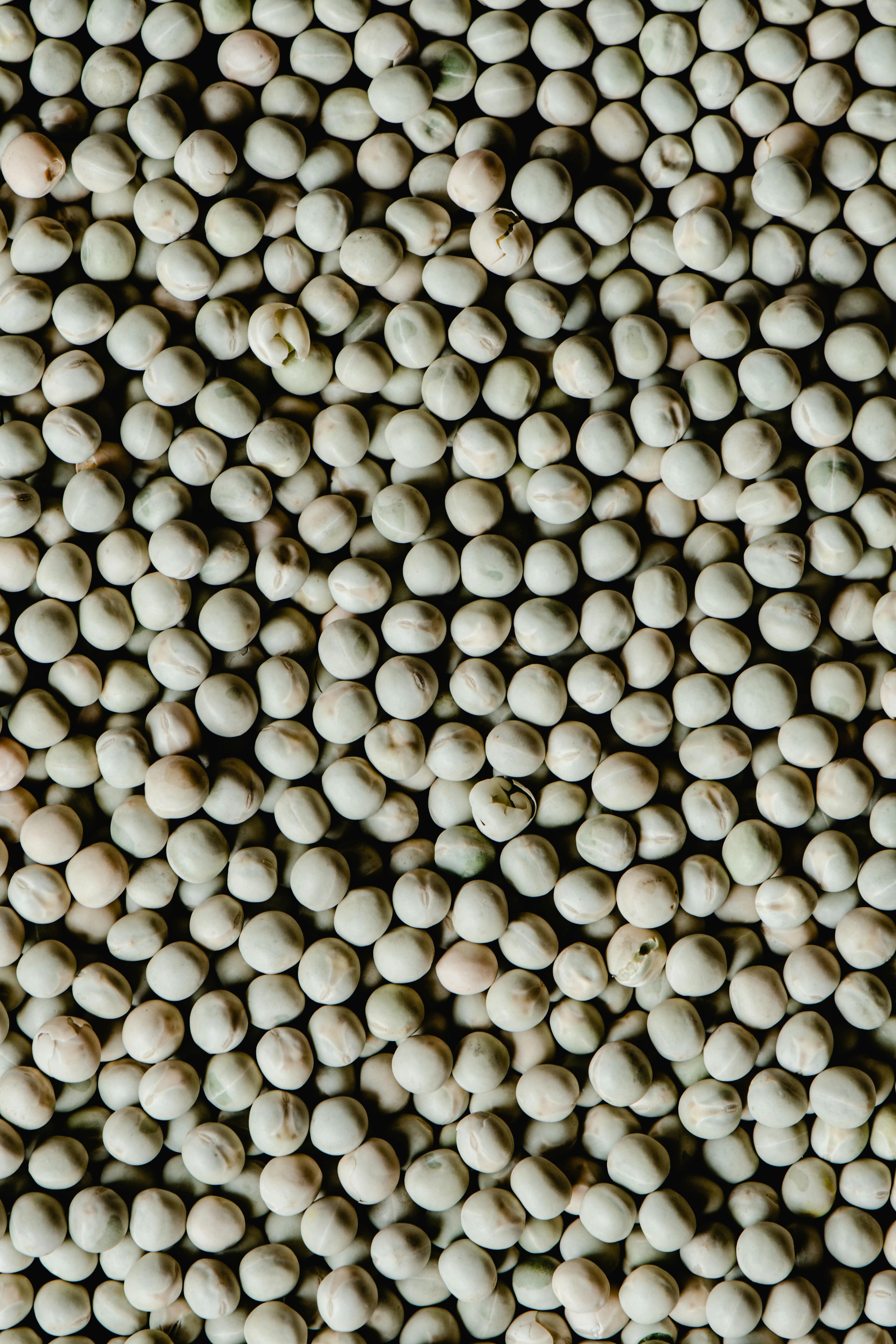Yellow Peas Export India